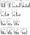 DHA is preferentially incorporated into CL in cells lacking TAZ.