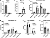 Mice lacking TAZ in skeletal muscle display impaired mitochondrial respirat
