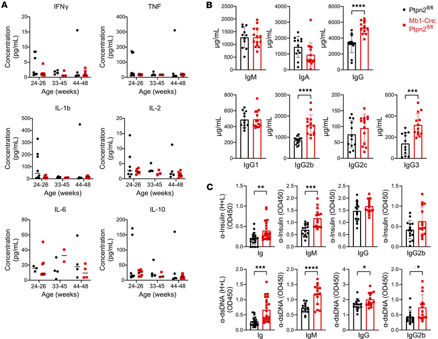 Increased (auto)antibodies in Mb1-Cre;Ptpn2fl/fl mice.
(A) MSD assay mea...