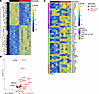 Bulk RNA-Seq reveals enhanced expression JAK/STAT and ABCs-associated genes