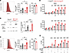 B cell–specific Ptpn2 deficiency increases JAK/STAT and TLR7 signaling and