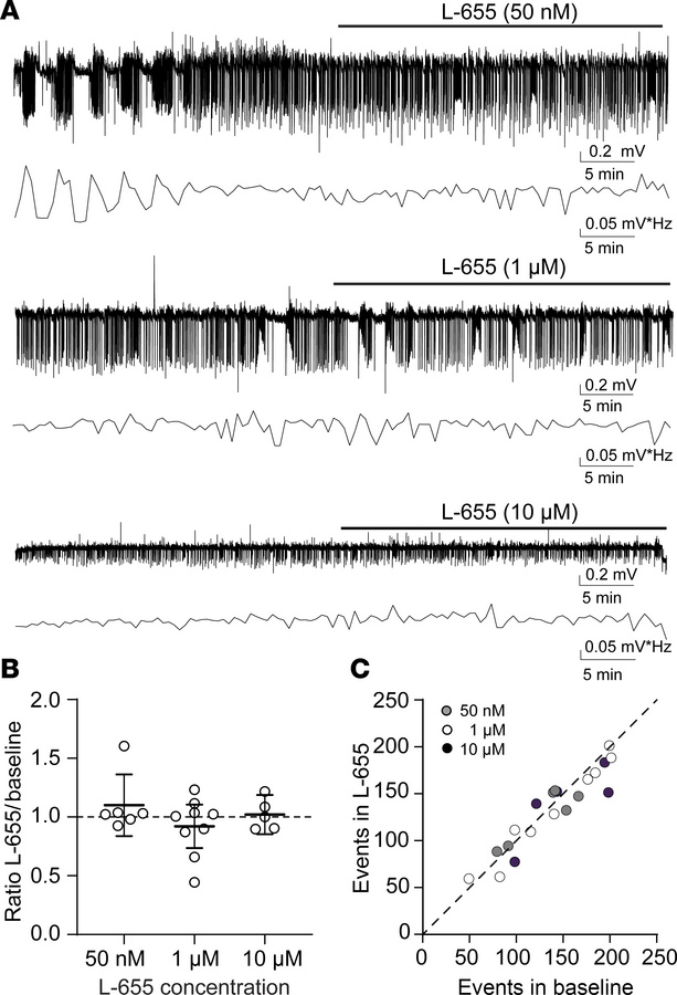 Inhibiting the α5-containing GABAAR does not worsen seizure-like events ...