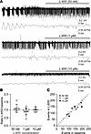Inhibiting the α5-containing GABAAR does not worsen seizure-like events in