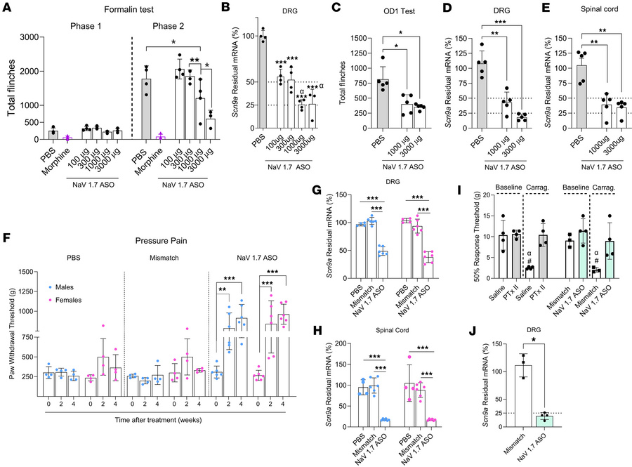 ASOs targeting NaV1.7 affect nociceptive behaviors.
(A and B) The intrat...