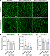 NaV1.7 ASO does not decrease 488PTx-II binding in sciatic nerves.