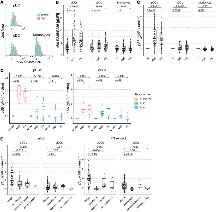 RPS6 in DCs of peanut-allergic donors is phosphorylated after stimulatio...