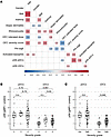 RPS6 phosphorylation in cDCs is associated with the allergic reaction sever