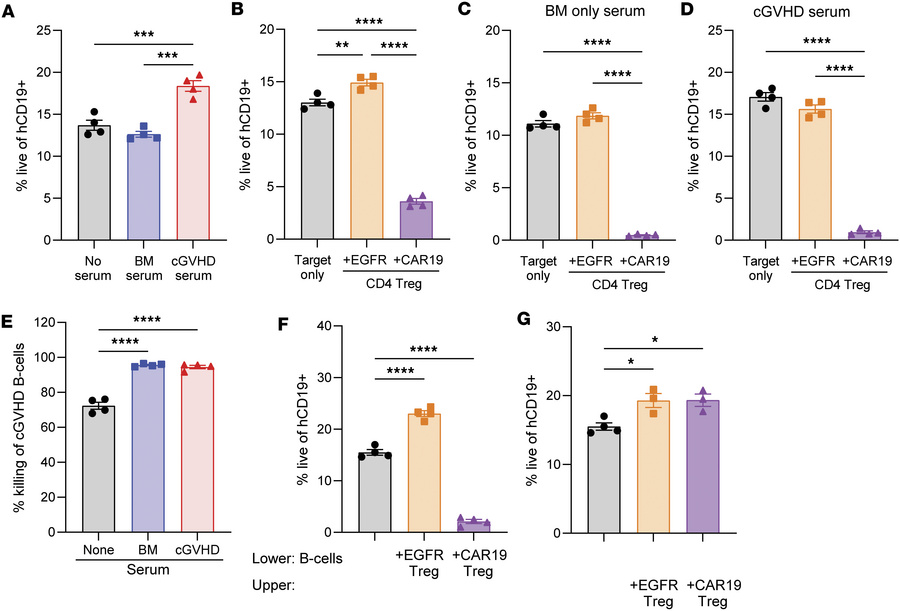 CAR19 Treg cytolytic activity is uninhibited by cGVHD/BOS serum and requ...