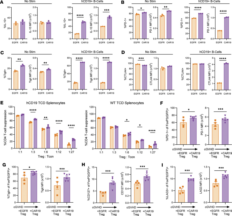 CAR19 Tregs have greater suppressive capacity compared with EGFR Tregs i...