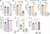 CAR19 Treg cytolytic activity is uninhibited by cGVHD/BOS serum and require