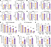 CAR19 Tregs have greater suppressive capacity compared with EGFR Tregs in v