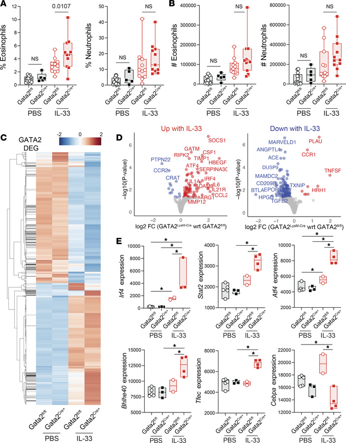 GATA2 restrains alveolar macrophage responses to type 2 inflammation.
Mi...
