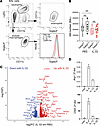 IL-33 indirectly induces a robust alveolar macrophage type 2 transcriptomic