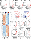 GATA2 restrains alveolar macrophage responses to type 2 inflammation.