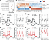 GATA2 controls alveolar macrophage metabolic activity.