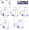 Loss of TRPV4 reduces tumor growth and cytokine expression known to activat