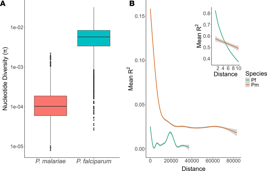 Nucleotide diversity (π) of orthologous genes among P. malariae and P. f...