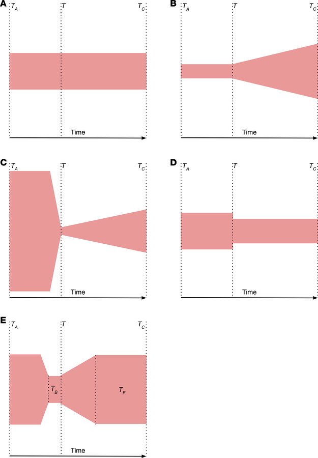 Schematics of demographic models tested for goodness of fit.
Plots are o...
