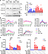 TRAF2 inhibits Arid5a through IKK-dependent NF-κB signaling.