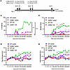 Arid5a is required for inflammatory pathogenesis in collagen-induced arthri