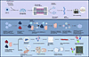 Overview of the multiomic workflow used to identify targetable mediators of