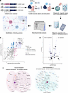 Proximity labeling identifies cortactin as a binding partner for aurora B a