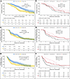 Kaplan-Meier curves of OS, ibPFS, and TTPP from randomization by baseline C