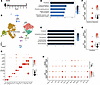 Single-cell transcriptomic analysis of leukocytes reveals ferroptosis induc