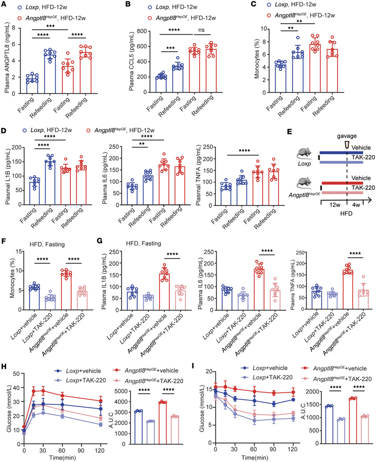 ANGPTL8 exacerbates metabolic inflammation via CCL5-CCR5.
Effect of fast...