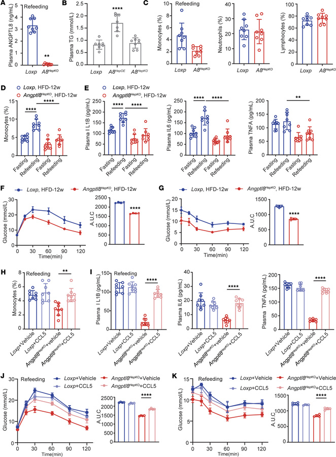 Deleting ANGPTL8 reduces inflammation and insulin resistance.
(A) Circul...