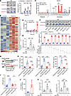 ANGPTL8 promotes monocyte migration via CCL5-CCR5.