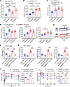 ANGPTL8 exacerbates metabolic inflammation via CCL5-CCR5.