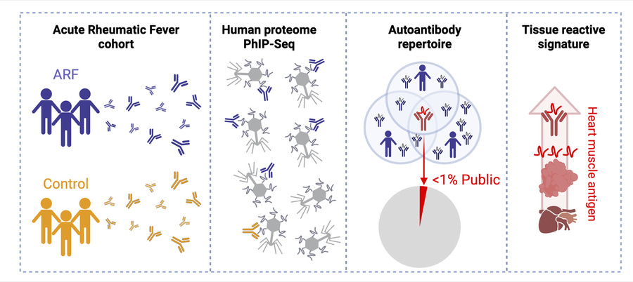 graphical abstract