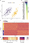 Identification of discriminatory protein-level autoantibodies between ARF a