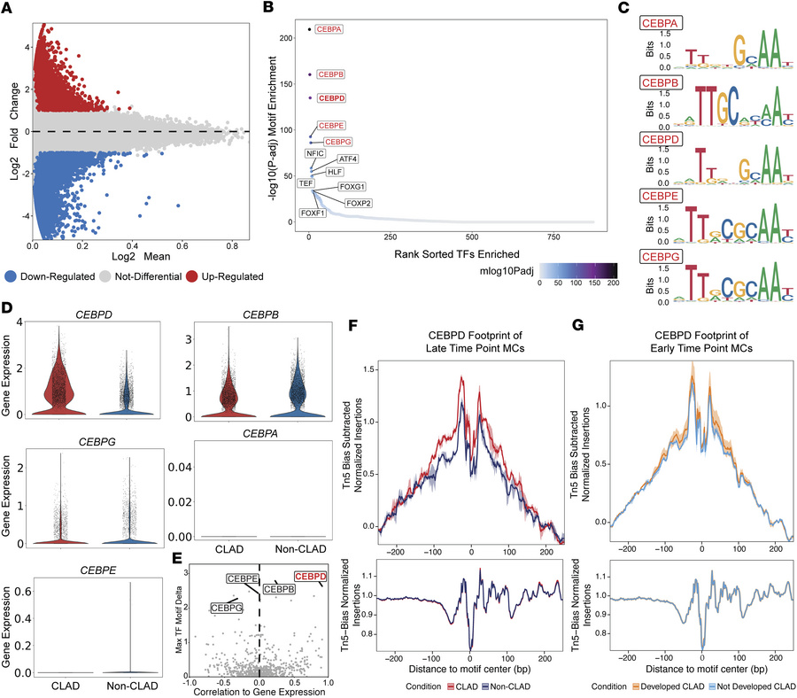 Single-cell chromatin accessibility analysis to identify epigenetic mark...