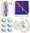Gene regulatory analysis combining single-cell transcriptomic and epigenomi