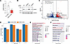 CEBPD knockdown partially reverts CLAD gene expression signature.