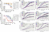 VIC-1911 acts synergistically with PARPi to inhibit PCa cell growth in vitr