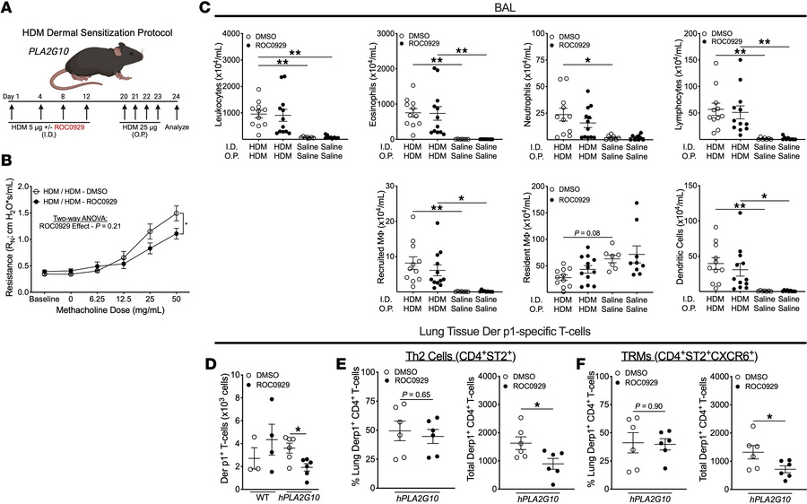 Treatment of mice expressing human PLA2G10 with a sPLA2-X small molecule...
