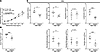 Mice globally deficient in Pla2g10 have attenuated airway hyperresponsivene