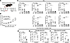 Treatment of mice expressing human PLA2G10 with a sPLA2-X small molecule in