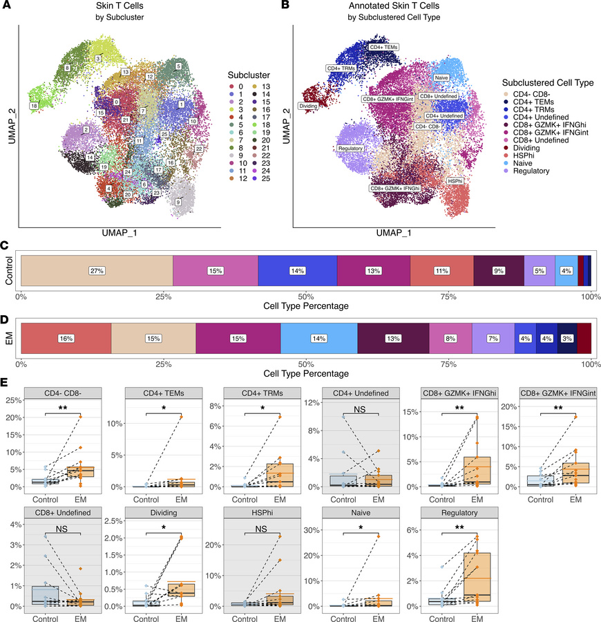 Clustering and annotation of the skin T cells.
(A) UMAP representing clu...