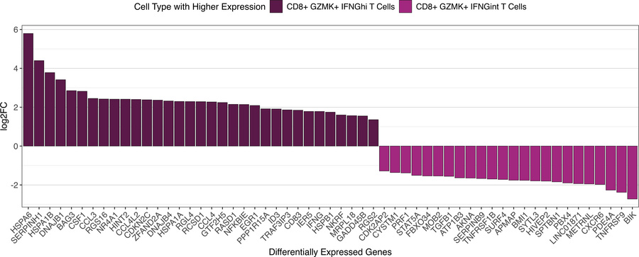 Differentially expressed genes between CD8+GZMK+IFNGhi T cells and CD8+G...