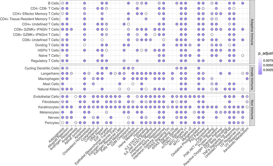 GSEA significance analysis using the MSigDB Hallmark database in the ski...