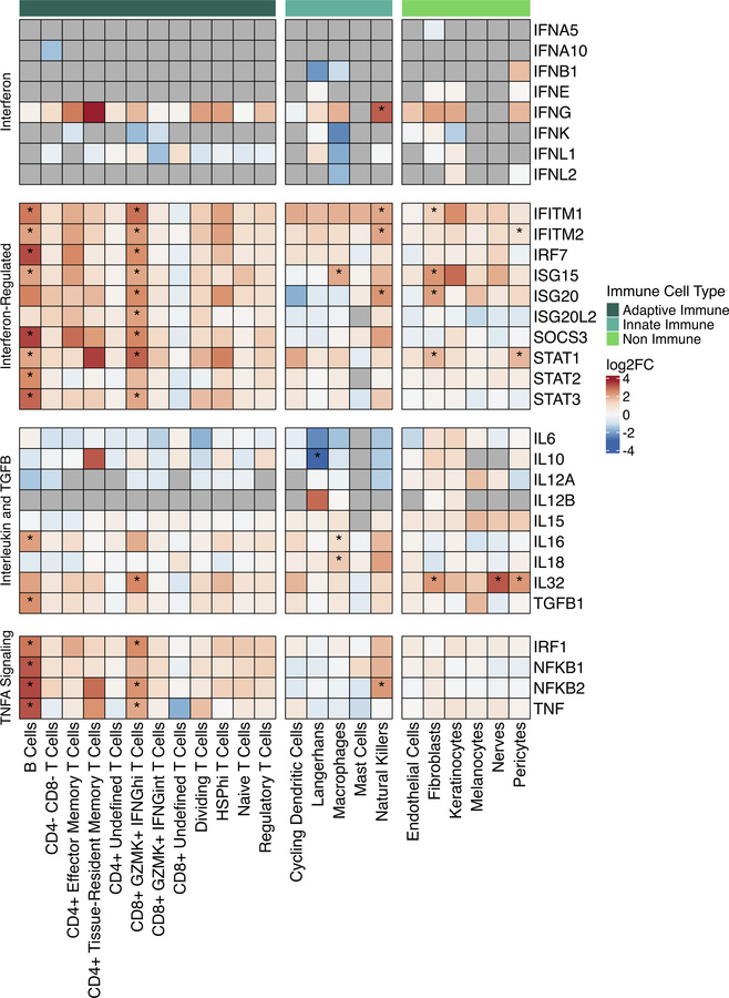Gene expression of IFN, IFN-regulated, interleukin, and signaling-relate...