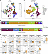 Clustering and annotation of the skin cells.