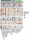 Gene expression of IFN, IFN-regulated, interleukin, and signaling-related g