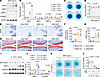 Activation of NOD2 by MDP alone is insufficient to drive cartilage degradat