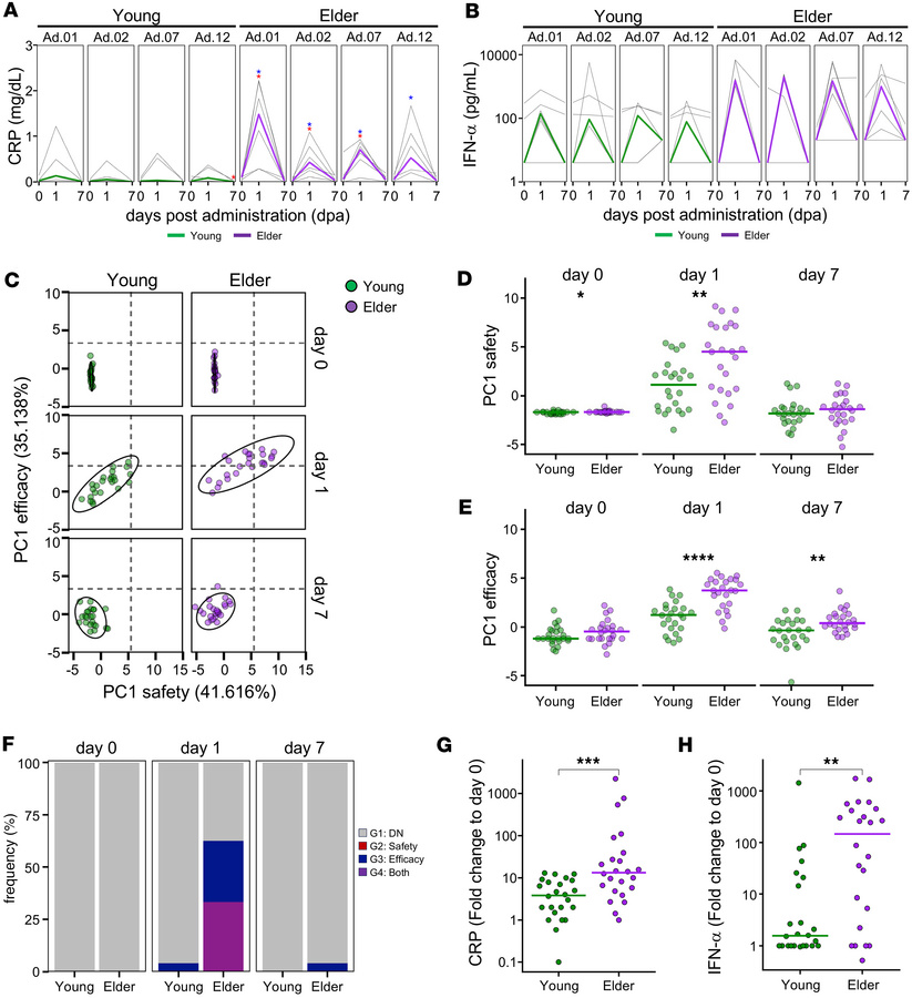 Direct comparison of young versus older populations.
(A) Line plots indi...
