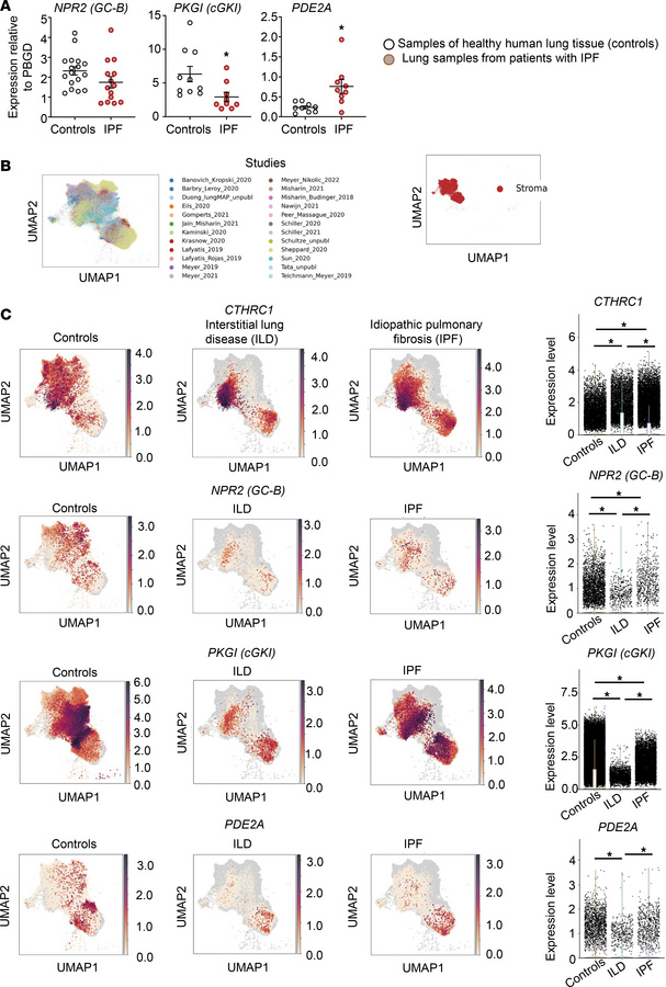 Altered mRNA expression of components of the CNP/GC-B signaling pathway ...